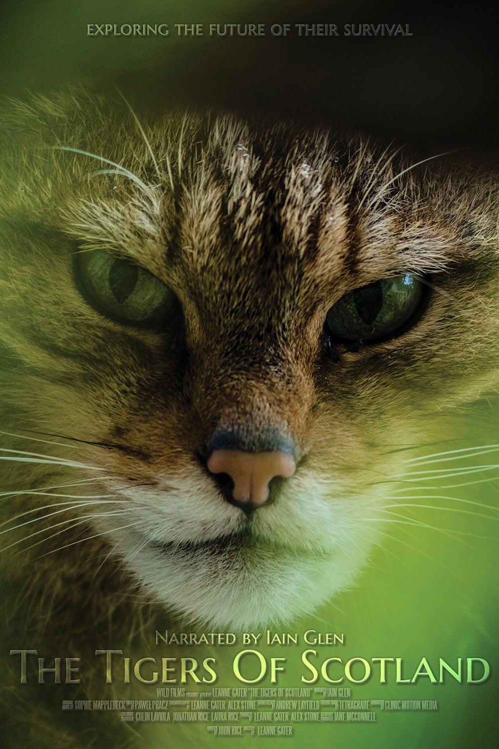 Постер The Tigers of Scotland